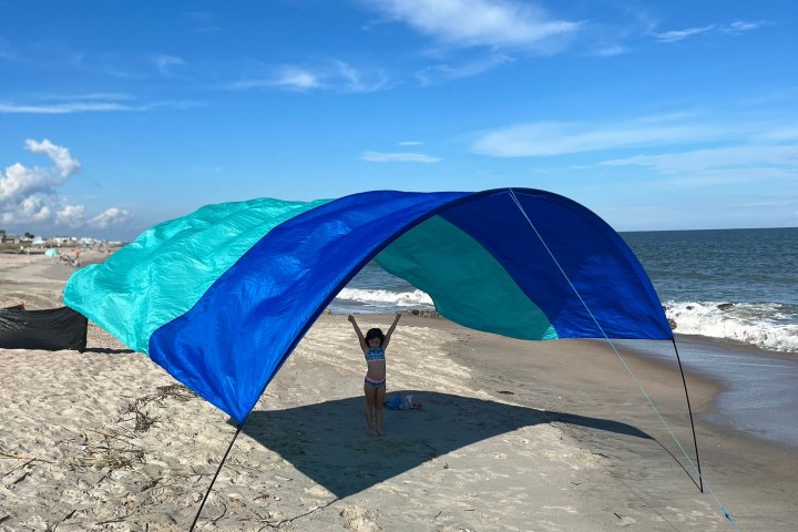 a sandy beach holding a blue umbrella